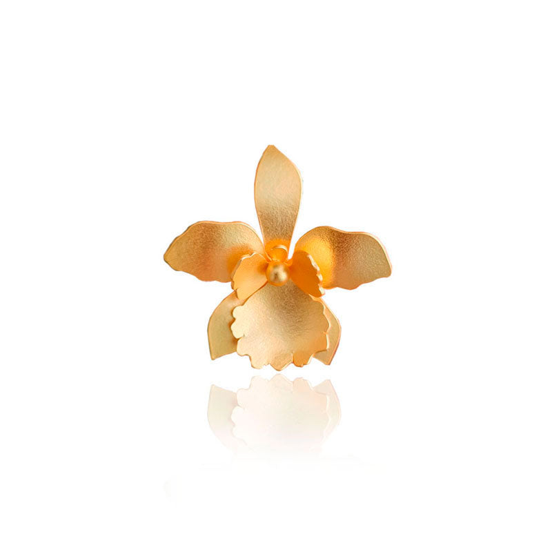 Broche Quadricolor