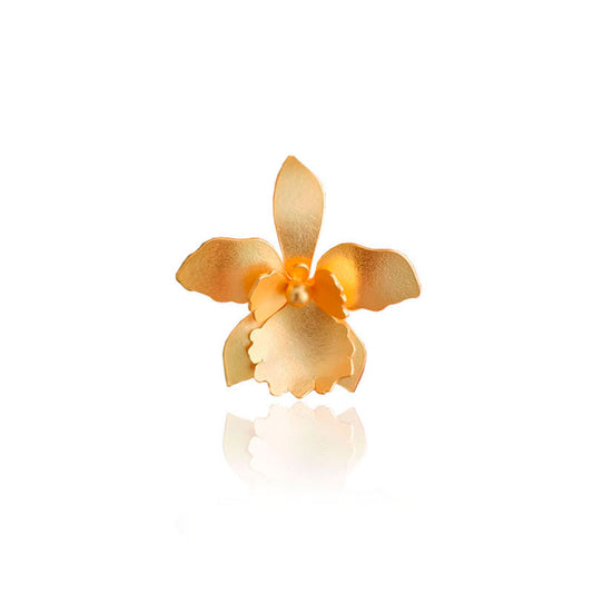 Broche Quadricolor
