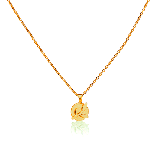 Collar medalla encenillo