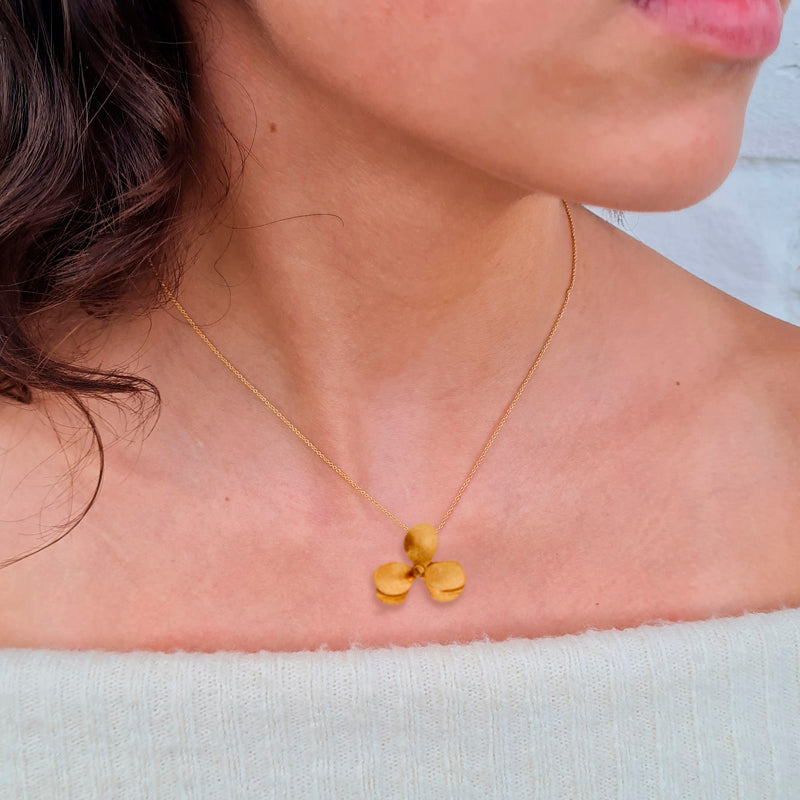Collar numu