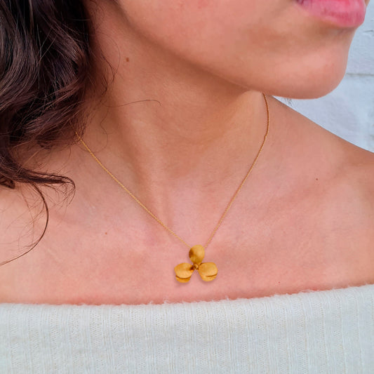 Collar numu