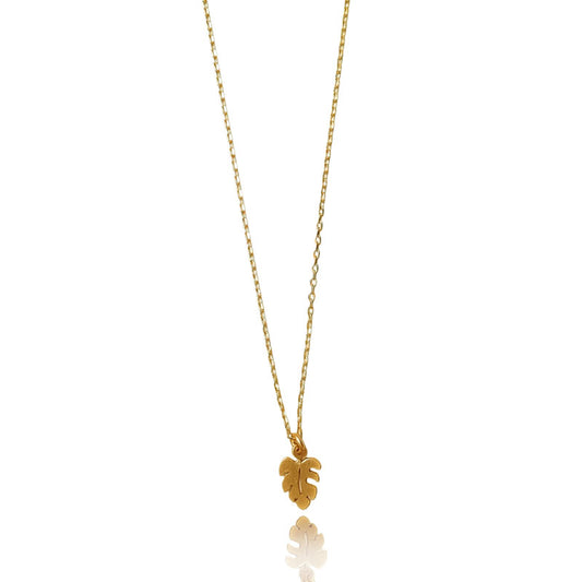 Collar monstera