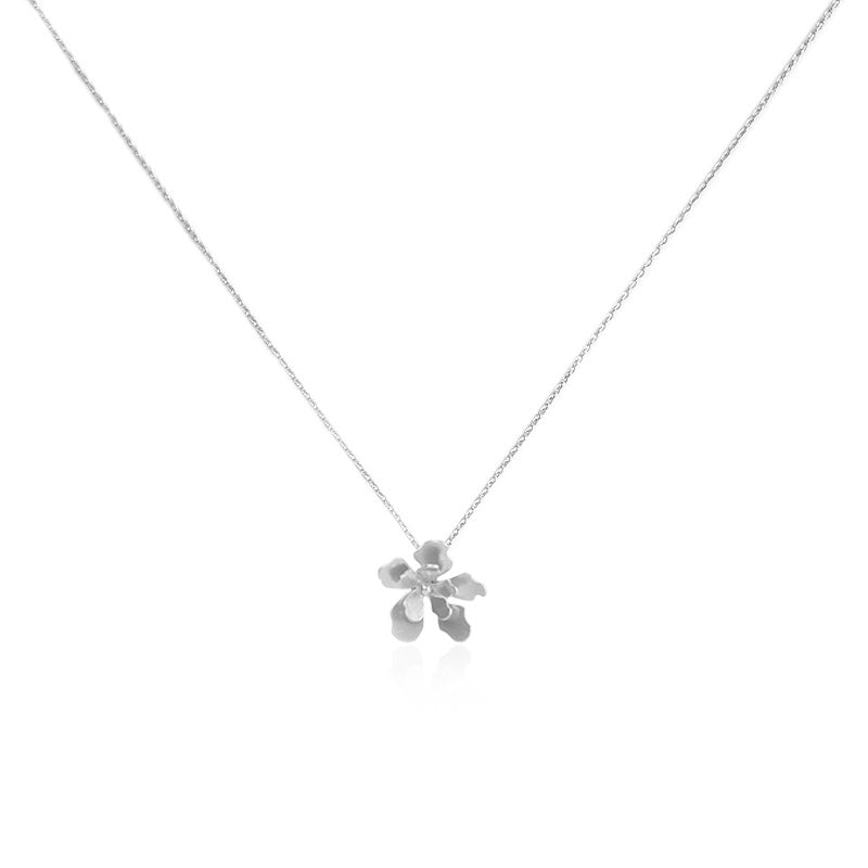 Collar dije mini merania