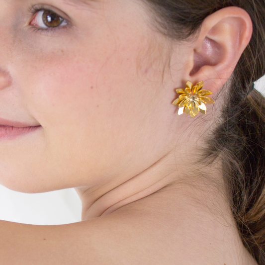 Aretes Loto