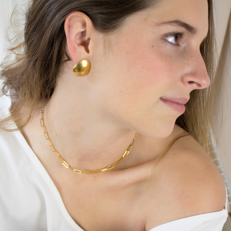 Aretes topo Andinia