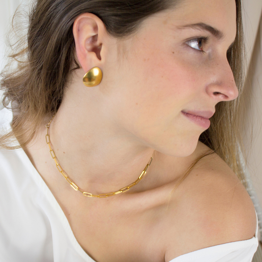 Aretes topo Andinia