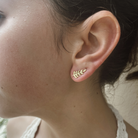 Aretes Anna