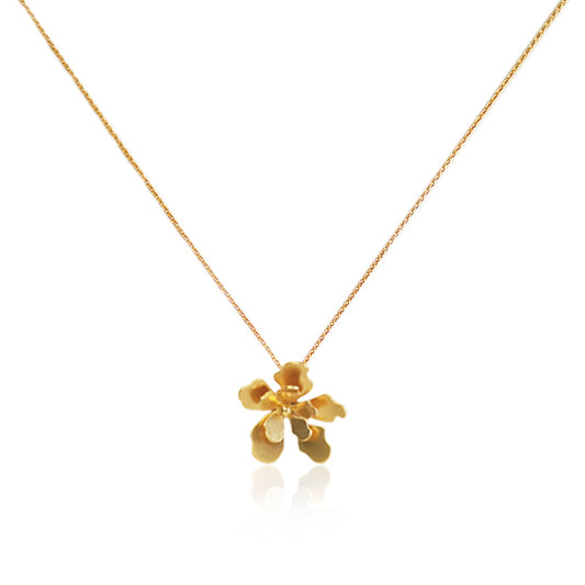 Collar dije merania pequeño