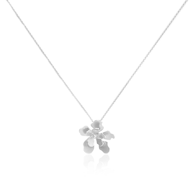 Collar dije merania pequeño