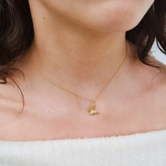 Collar dije mariposa doble