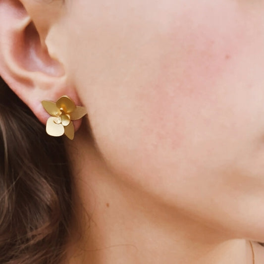 Aretes quadricolor mini
