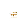 Dicca Anillo 3 mini guayacán