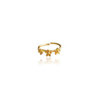 Dicca Anillo 3 mini guayacán