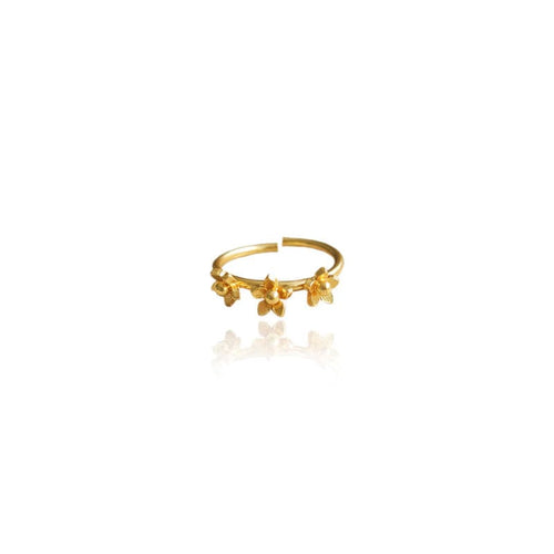 Dicca Anillo 3 mini guayacán