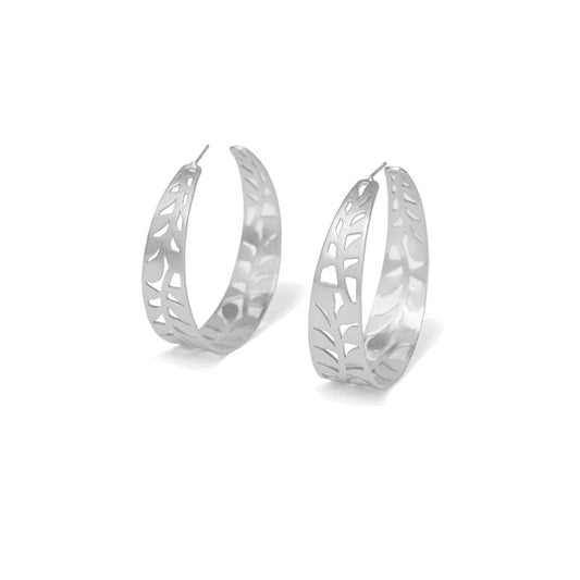 Dicca Candongas guaia