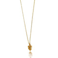 Dicca Collar monstera