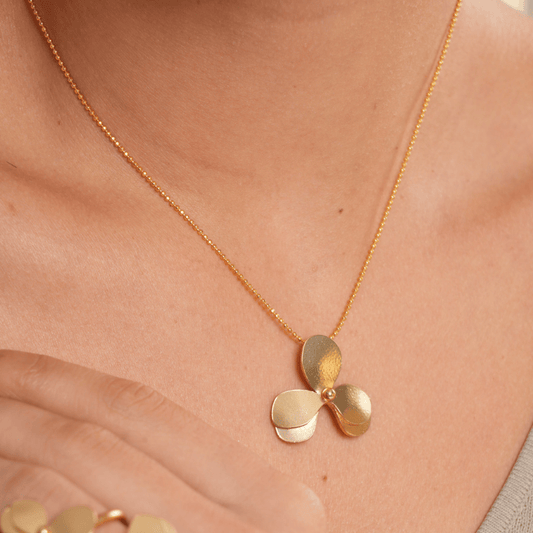 Dicca Collar numu