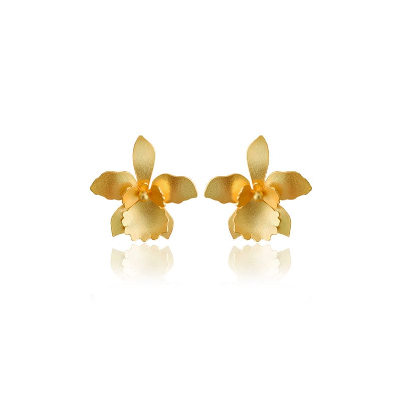 Dicca Dorado Aretes quadricolor medianos