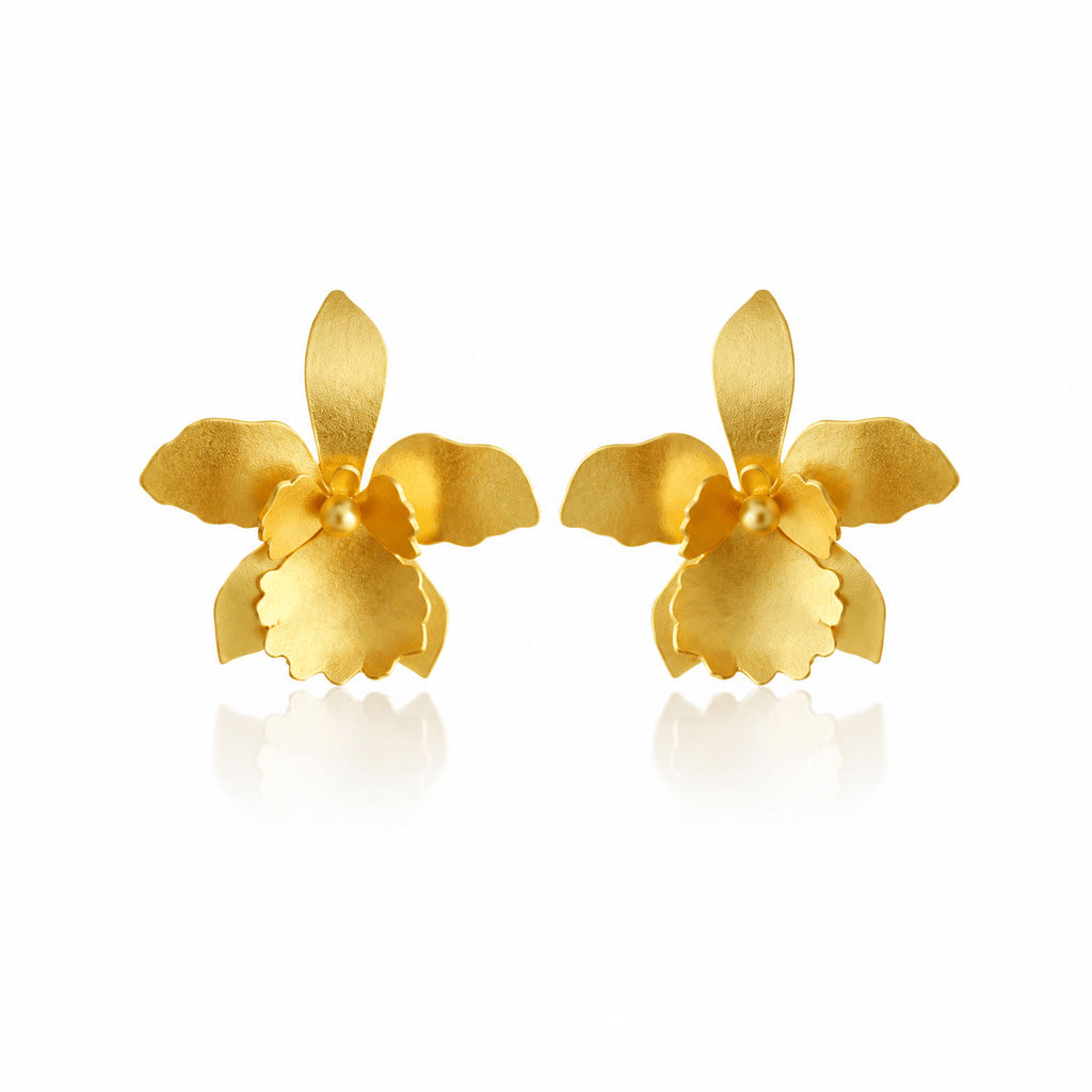 Dicca Dorado Aretes quadricolor medianos