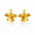 Dicca Dorado Aretes quadricolor medianos