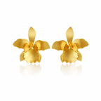 Dicca Dorado Aretes quadricolor medianos
