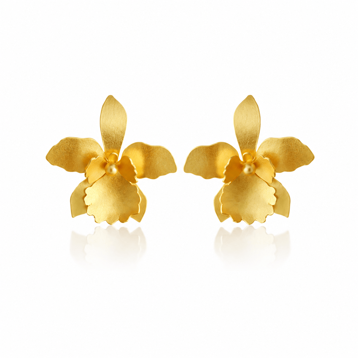 Dicca Dorado Aretes quadricolor medianos