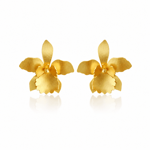 Dicca Dorado Aretes quadricolor medianos