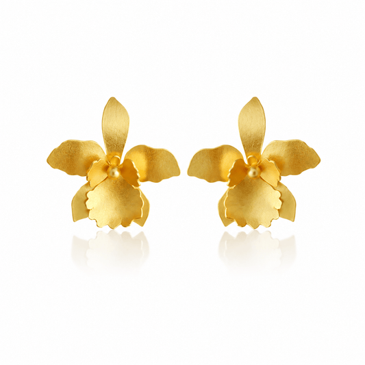Dicca Dorado Aretes quadricolor medianos