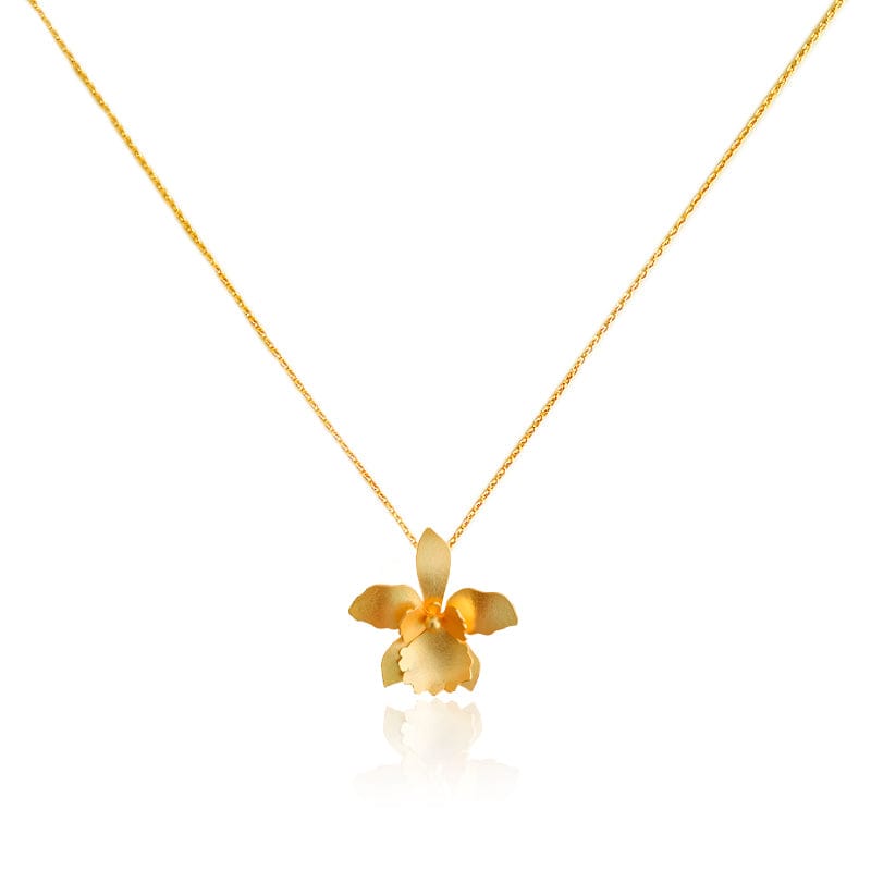 Dicca Dorado Collar dije quadricolor