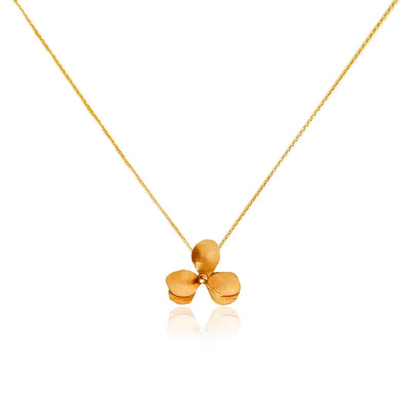 Dicca Dorado Collar numu