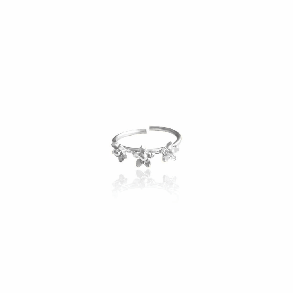 Dicca Plateado Anillo 3 mini guayacán