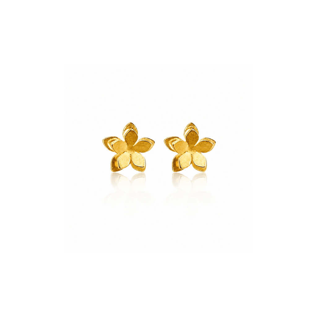 Mi tienda variation Aretes Mini topo guayacán