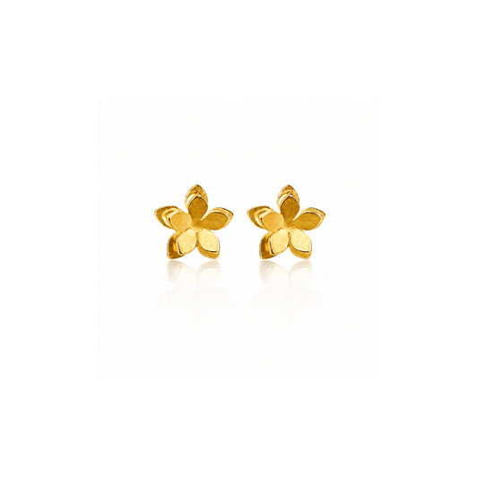 Mi tienda variation Aretes Mini topo guayacán