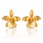 Mi tienda variation Aretes orquídea quadricolor