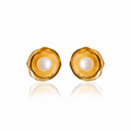Mi tienda variation Aretes Renacer