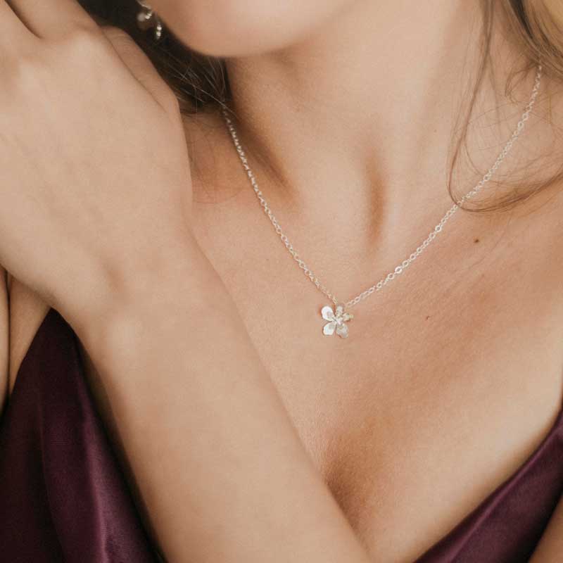 Mi tienda variation Collar dije mini merania