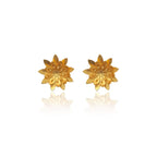 Mi tienda variation Dorado Aretes Loto