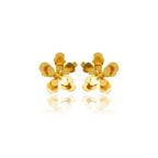 Mi tienda variation Dorado Aretes merania pequeños