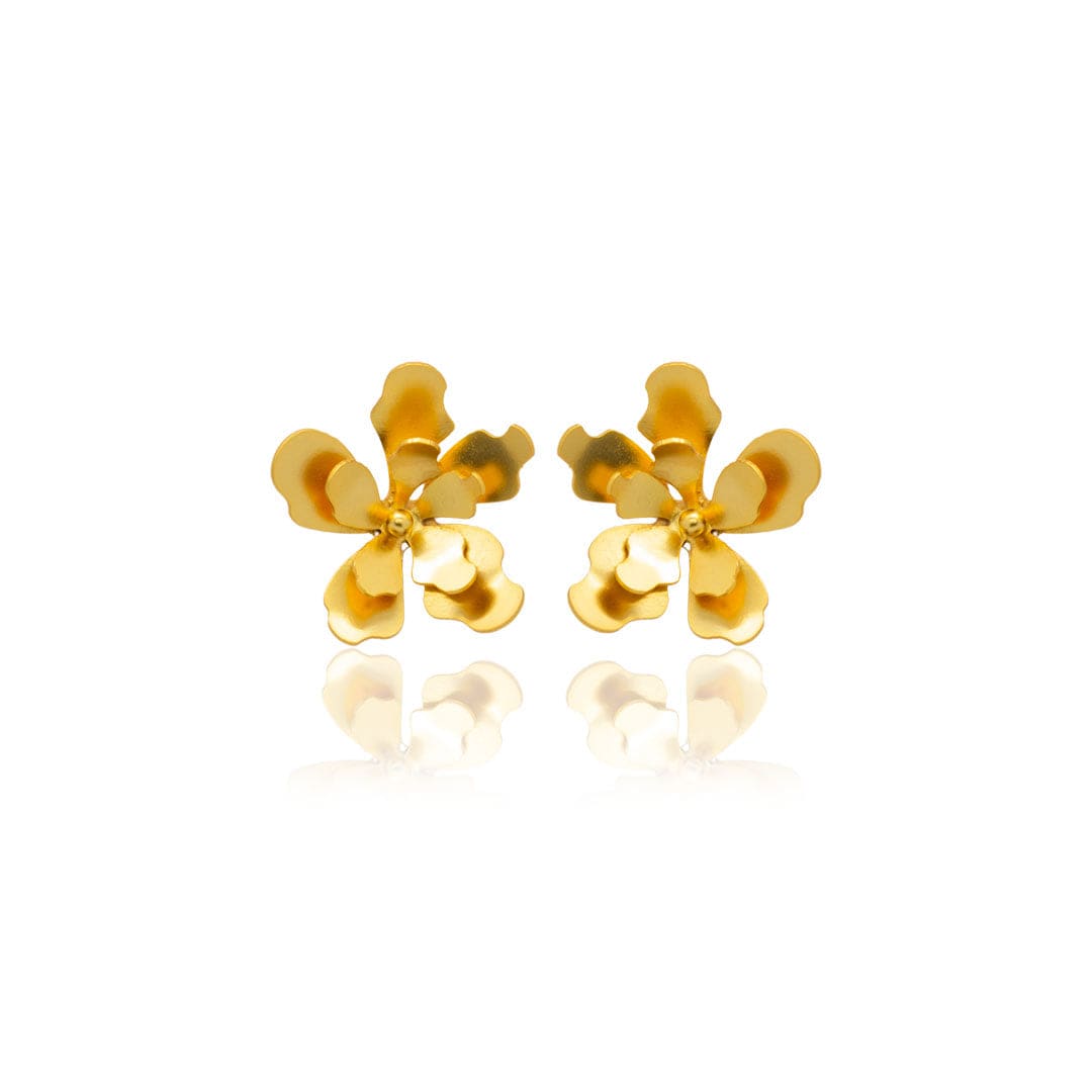 Mi tienda variation Dorado Aretes merania pequeños