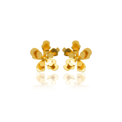 Mi tienda variation Dorado Aretes merania pequeños