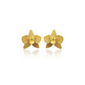 Mi tienda variation Dorado Aretes quadricolor mini