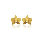 Mi tienda variation Dorado Aretes quadricolor mini