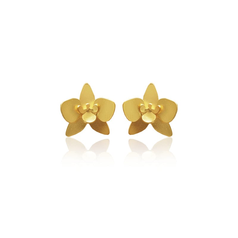 Mi tienda variation Dorado Aretes quadricolor mini