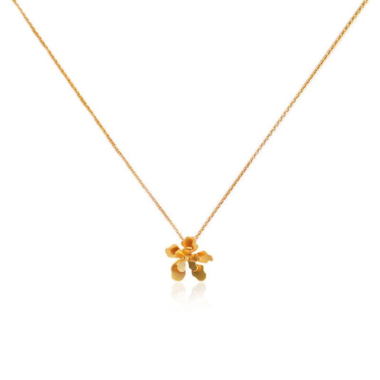 Mi tienda variation Dorado Collar dije mini merania