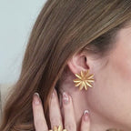 Aretes passiflora